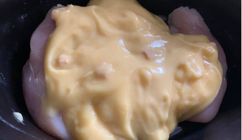 Crock Pot Chicken and Dumplings Using Canned Biscuits